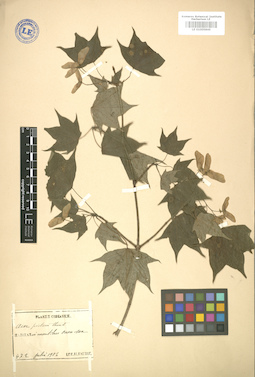 LE 01005846