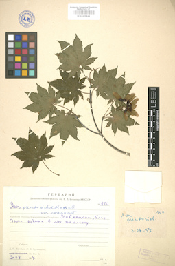 LE 01005849