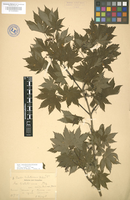 LE 01005851