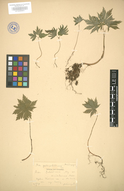 LE 01005853