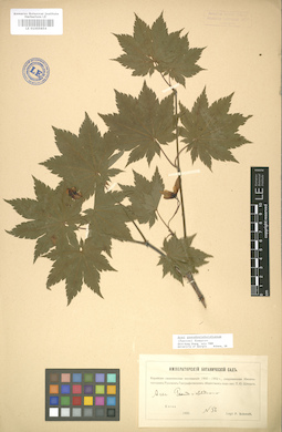 LE 01005854