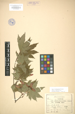 LE 01005856