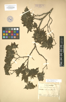 LE 01005857