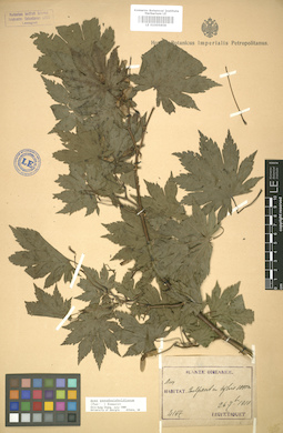 LE 01005858