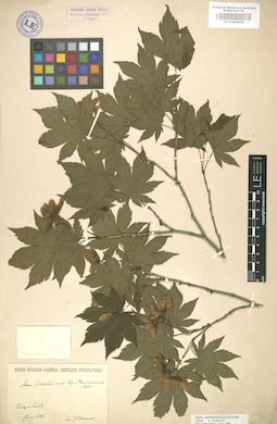 LE 01005859
