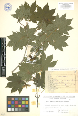LE 01005860