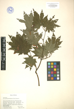 LE 01005861