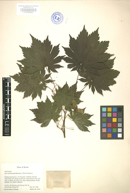 LE 01005862