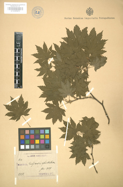 LE 01005871