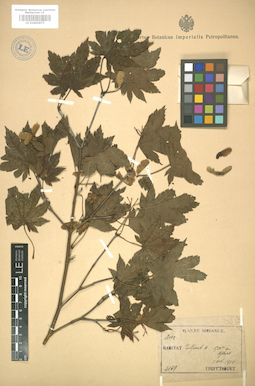 LE 01005873