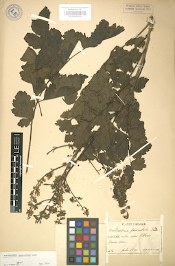 LE 01005874