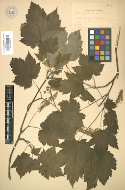 LE 01005875