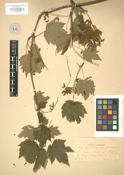 LE 01005878