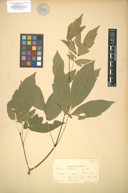 LE 01005882