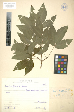 LE 01005885