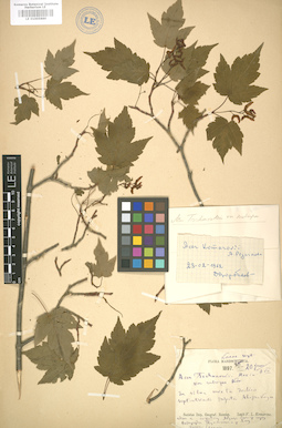 LE 01005889