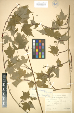 LE 01005890