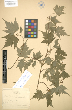 LE 01005891