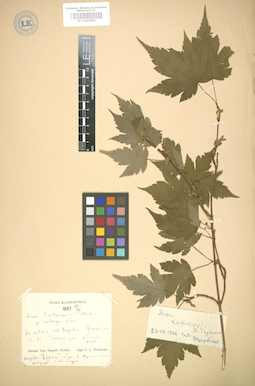 LE 01005893