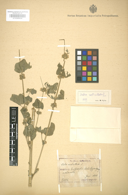 LE 01005926