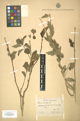 LE 01005927