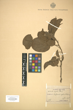 LE 01005947