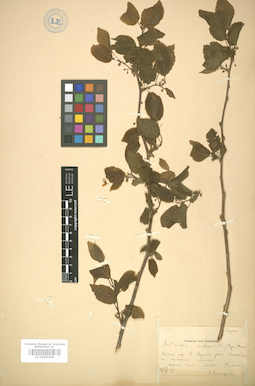 LE 01005949