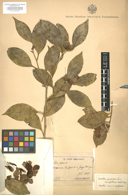 LE 01005965