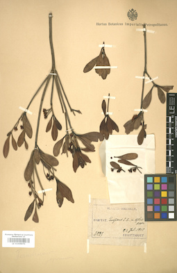 LE 01005970