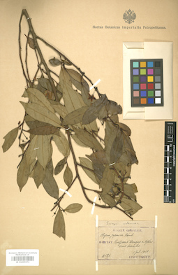 LE 01005972