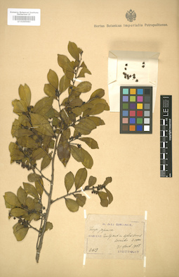 LE 01005983