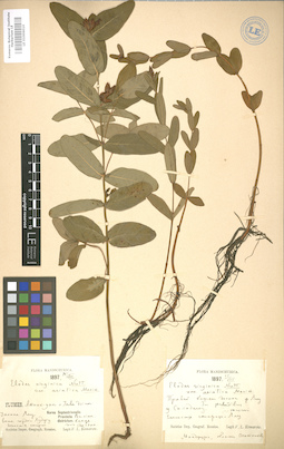 LE 01006010