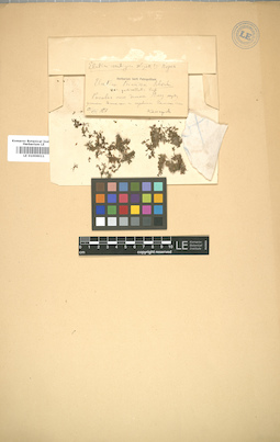 LE 01006011