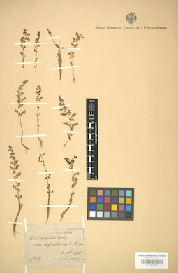 LE 01006053