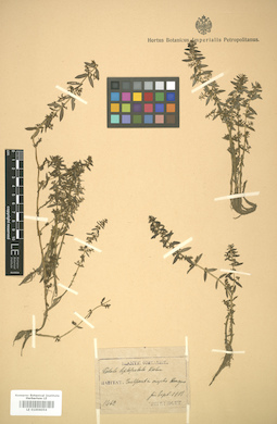 LE 01006054