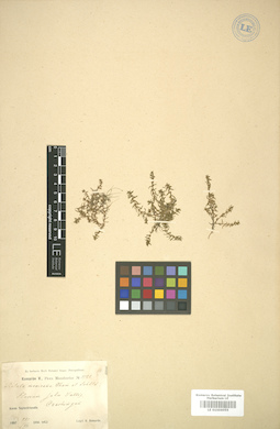 LE 01006055