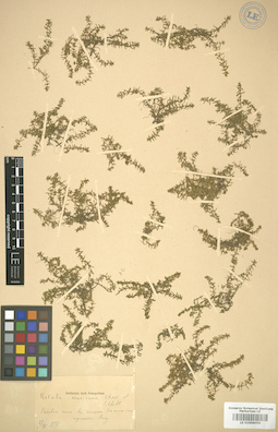 LE 01006056