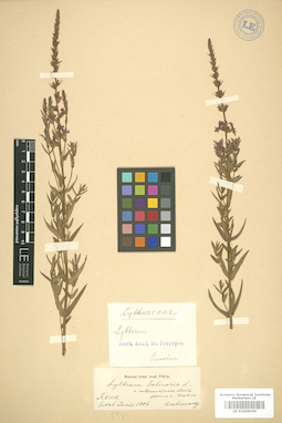 LE 01006060