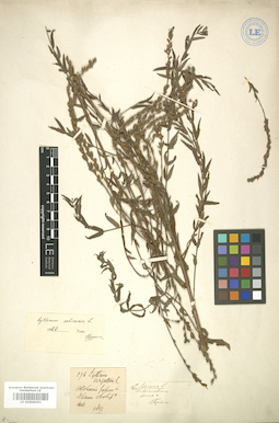 LE 01006063