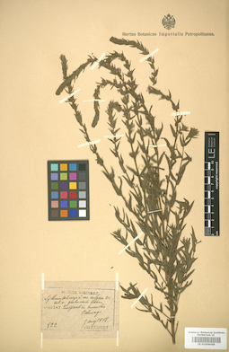 LE 01006068