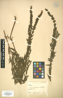 LE 01006069