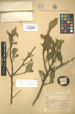 LE 01006073