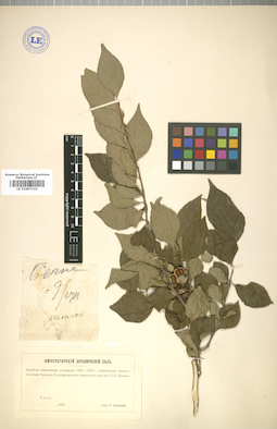 LE 01007110