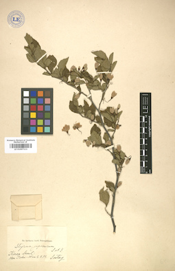 LE 01007111