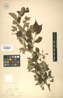 LE 01007112