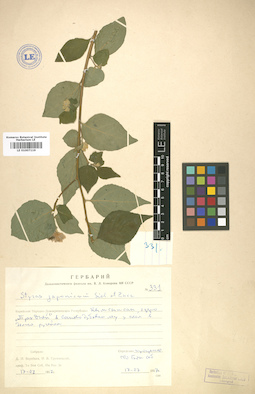 LE 01007119