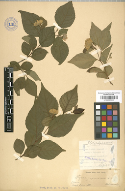 LE 01007120