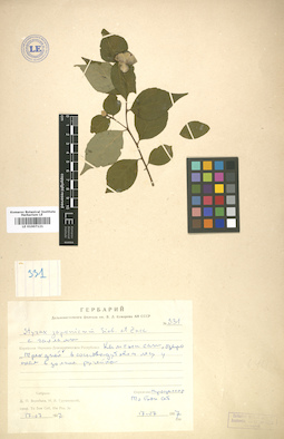 LE 01007121