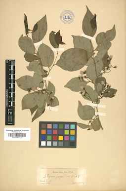 LE 01007125