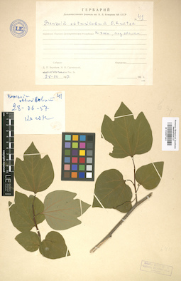LE 01007142
